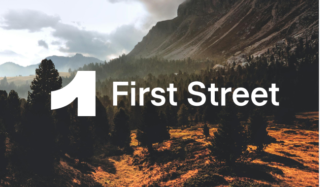 First Street Review: Property climate risk data for financial decisions