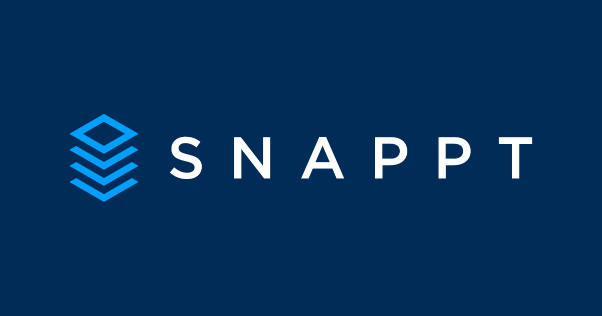 Snappt Review: Rental application fraud and income verification